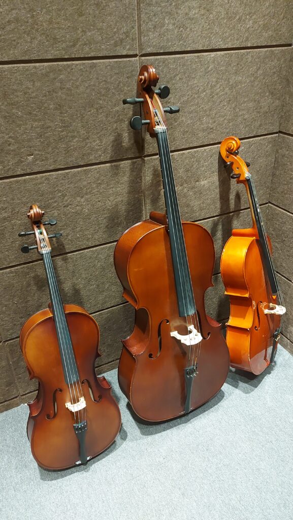 大提琴家族